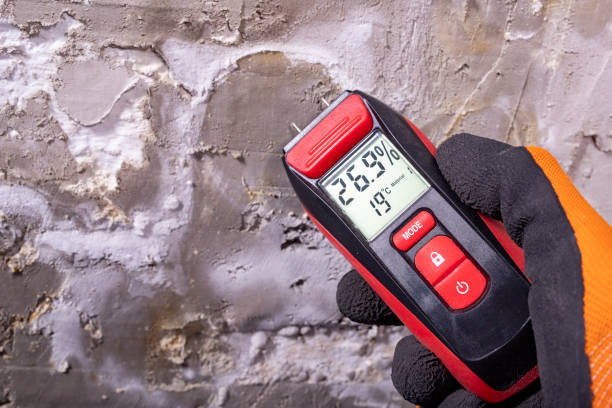 Best Black Mold Removal  in Big River, CA