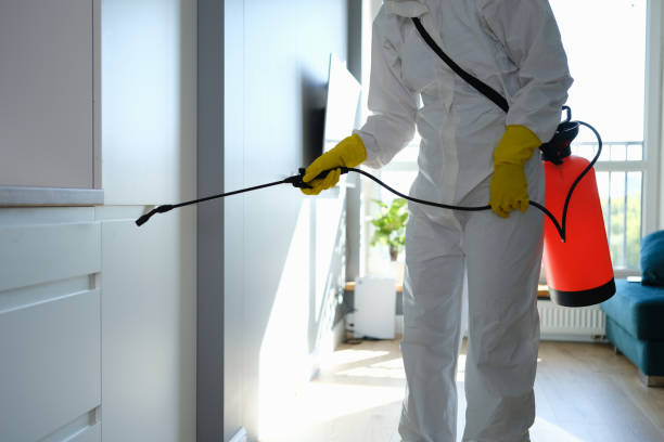 Best Home Mold Removal  in Big River, CA