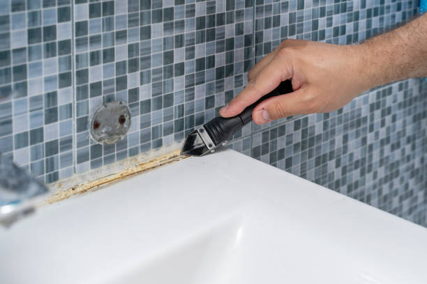 Mold Removal and Inspection in Big River, CA