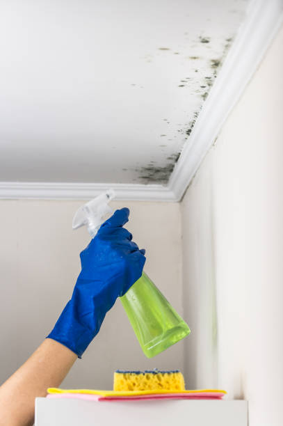 Water Damage Restoration in Big River, CA