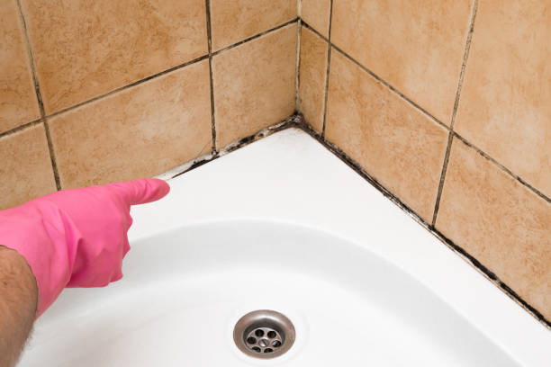 Best Residential Mold Removal  in Big River, CA